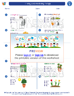 1st grade science worksheets theworksheetscom theworksheetscom