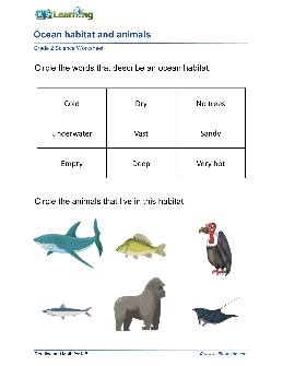 2nd grade science worksheets theworksheets com theworksheets com