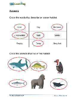 2nd grade science worksheets theworksheets com theworksheets com