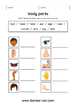 body parts worksheets theworksheets com theworksheets com