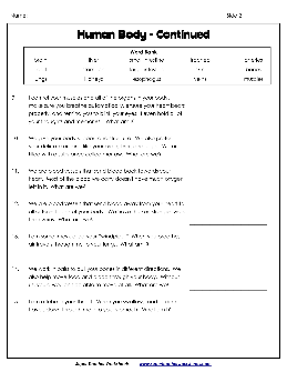 body parts worksheets theworksheetscom theworksheetscom