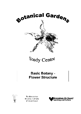 botany worksheets theworksheetscom theworksheetscom