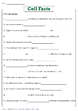 Cells Worksheets – TheWorksheets.CoM – TheWorksheets.com