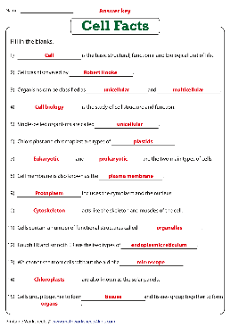 Cells Worksheets – Theworksheets.com – Theworksheets.com